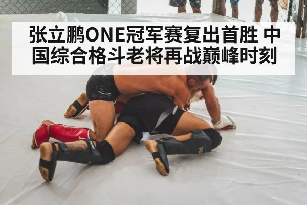 张立鹏ONE冠军赛复出首胜 中国综合格斗老将再战巅峰时刻